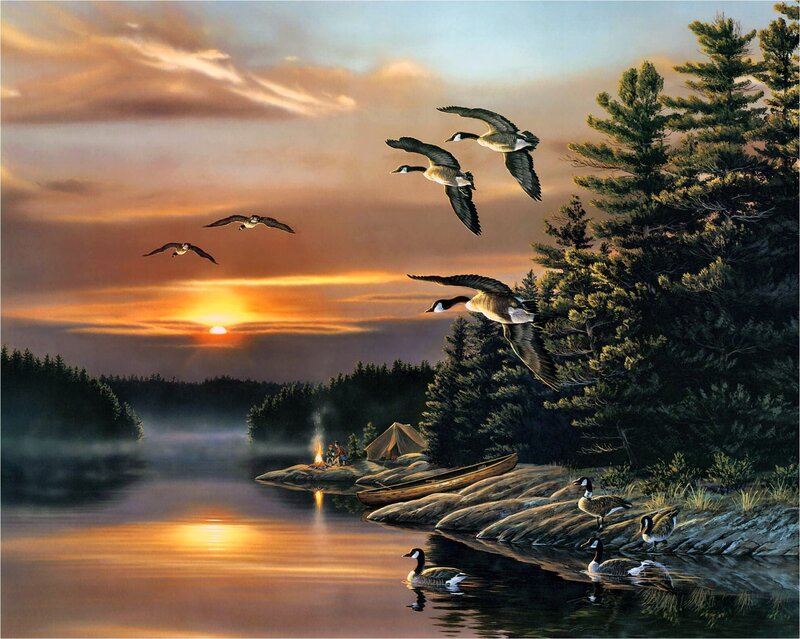 Geese Flying over Lake — Orange, Serene, Sunset