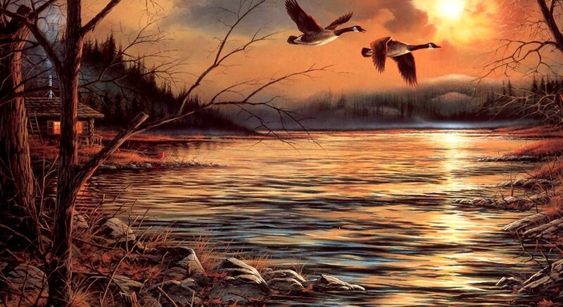 Geese Flying over Lake — Orange, Serene