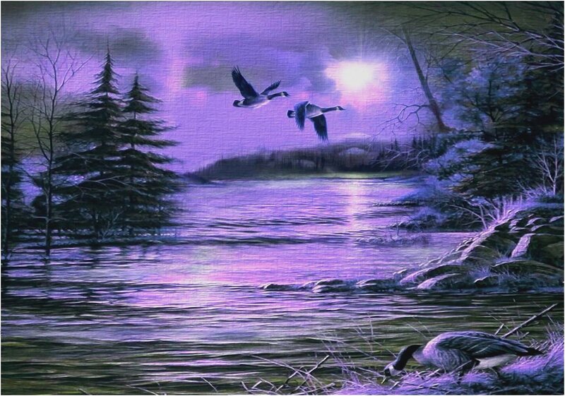 Geese Flying over Lake — Purple