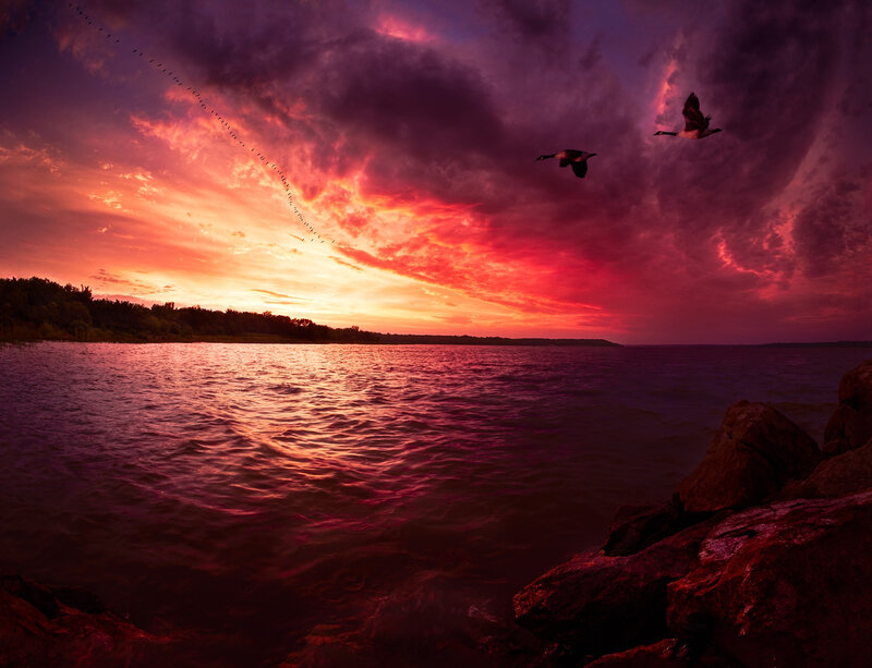 Geese Flying over Lake — Red