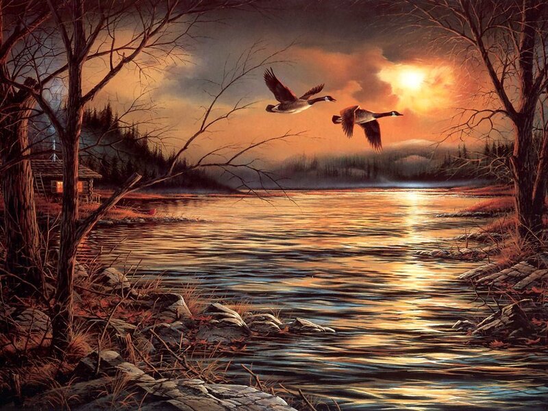 Geese Flying over Lake
