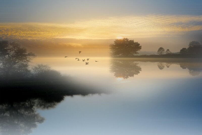 Geese Flying over Lake — Yellow, Serene, Sunrise