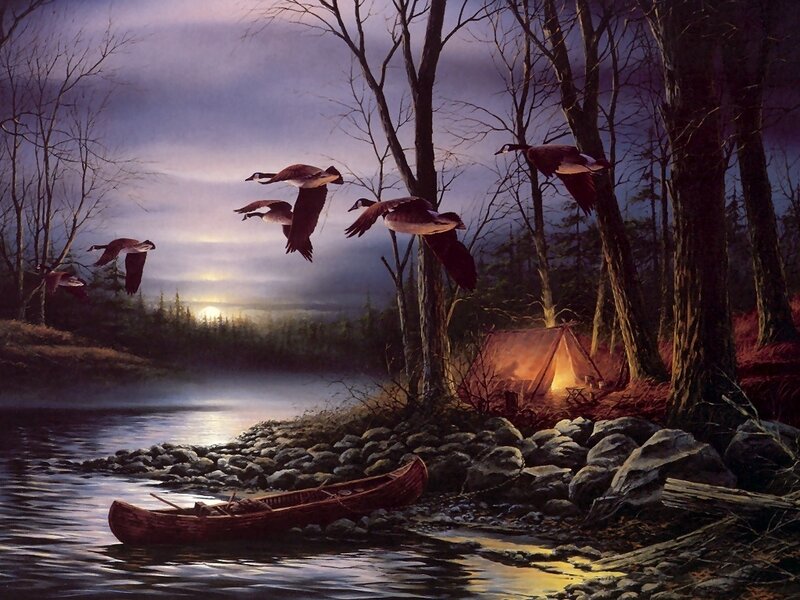 Geese Flying over River