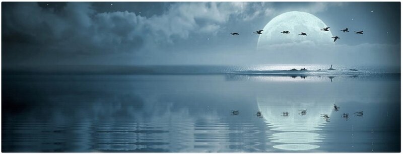 Geese Flying over Water — Blue