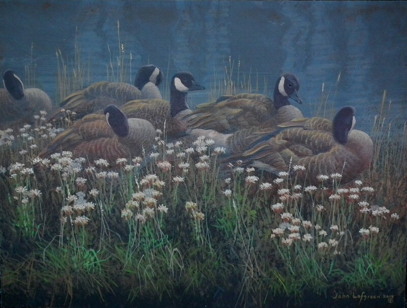 Geese in a marsh