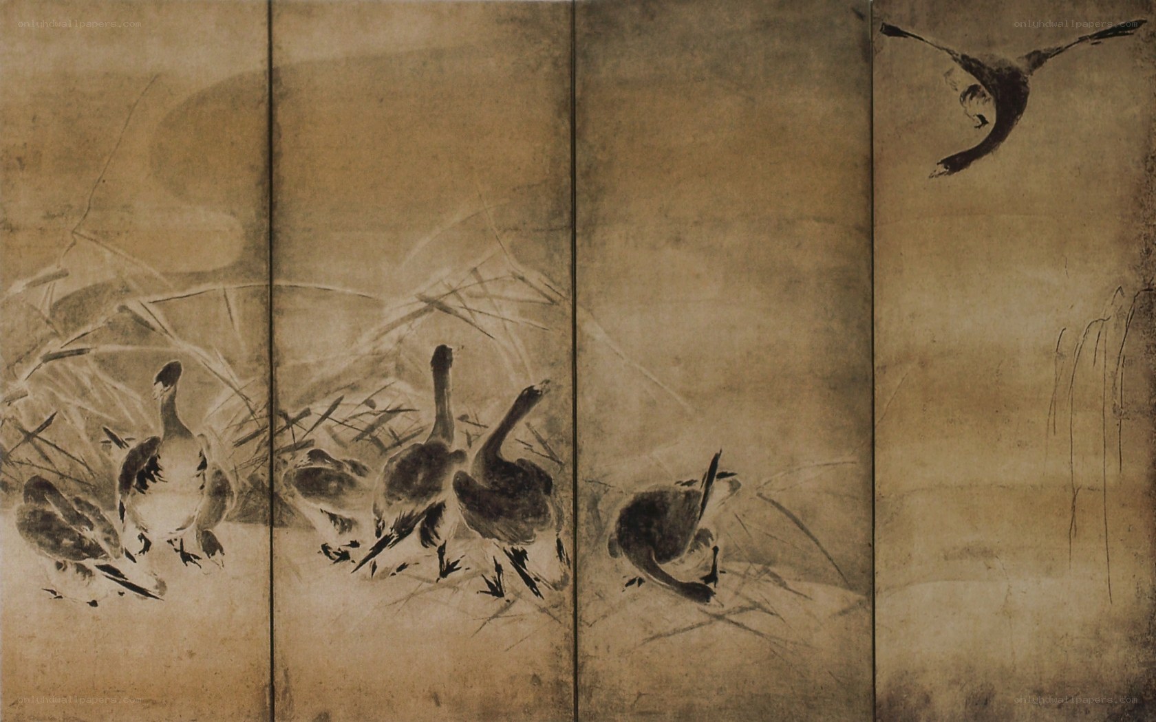 Geese in a Reed Field
