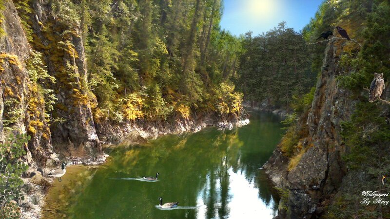 Geese in a River Canyon