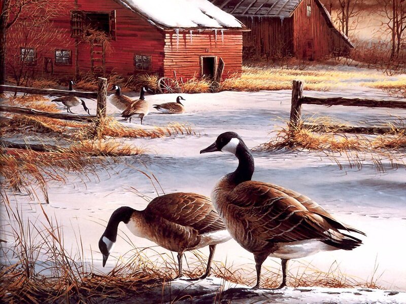 Geese in Snow — Brown