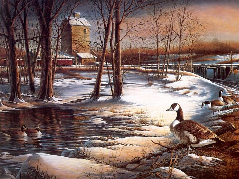 Geese in Winter Landscape