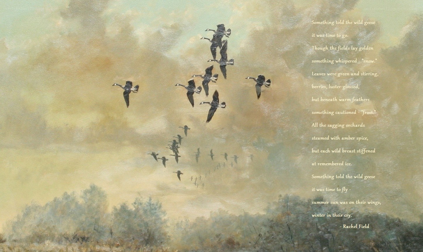 Geese Migration Scene