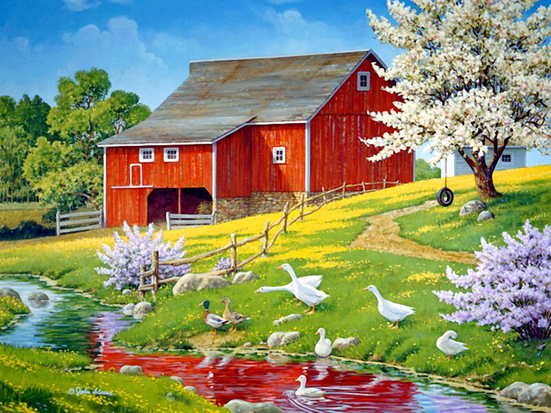 Geese Near Red Barn