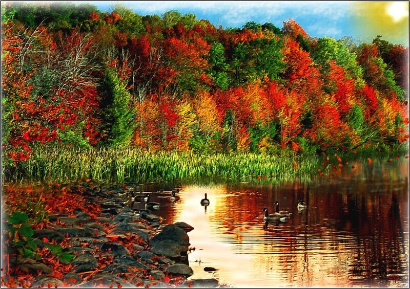 Geese on a Lake — Red