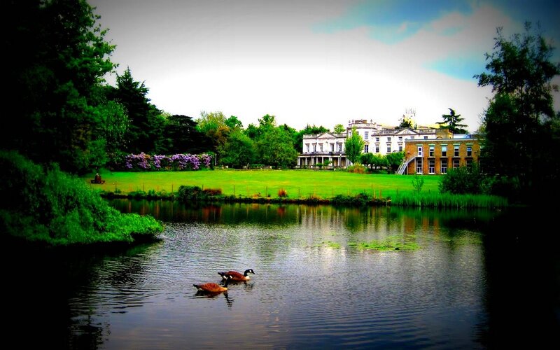 Geese on a Pond — Green
