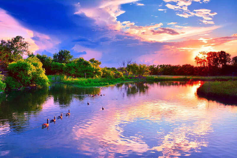 Geese on a River — Blue, Serene