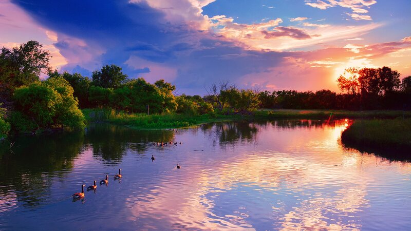 Geese on a River — Blue