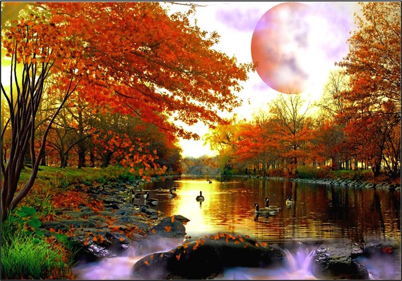 Geese on a River — Orange