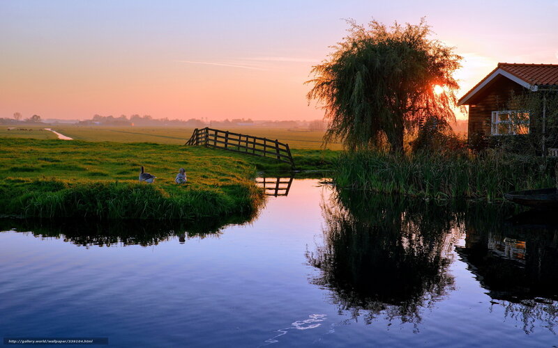 Geese on a Riverbank — Blue, Serene, Sunset
