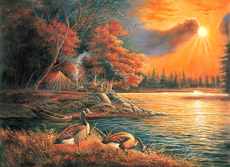 Geese on Riverbank — Orange, Serene