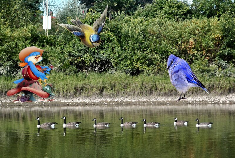 Geese Swimming in Pond — Green, Whimsical
