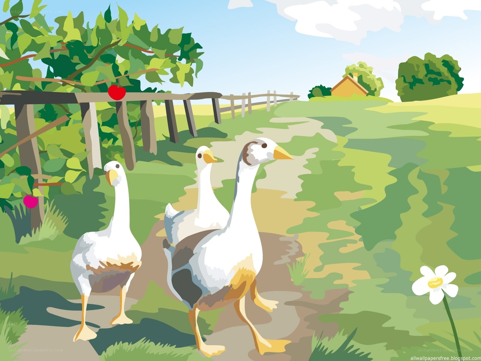 Geese walking in a field