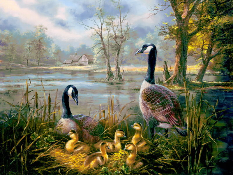 Geese with Goslings — Green, Serene, Morning, Painting