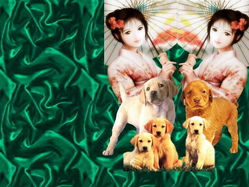 Geisha and puppies collage