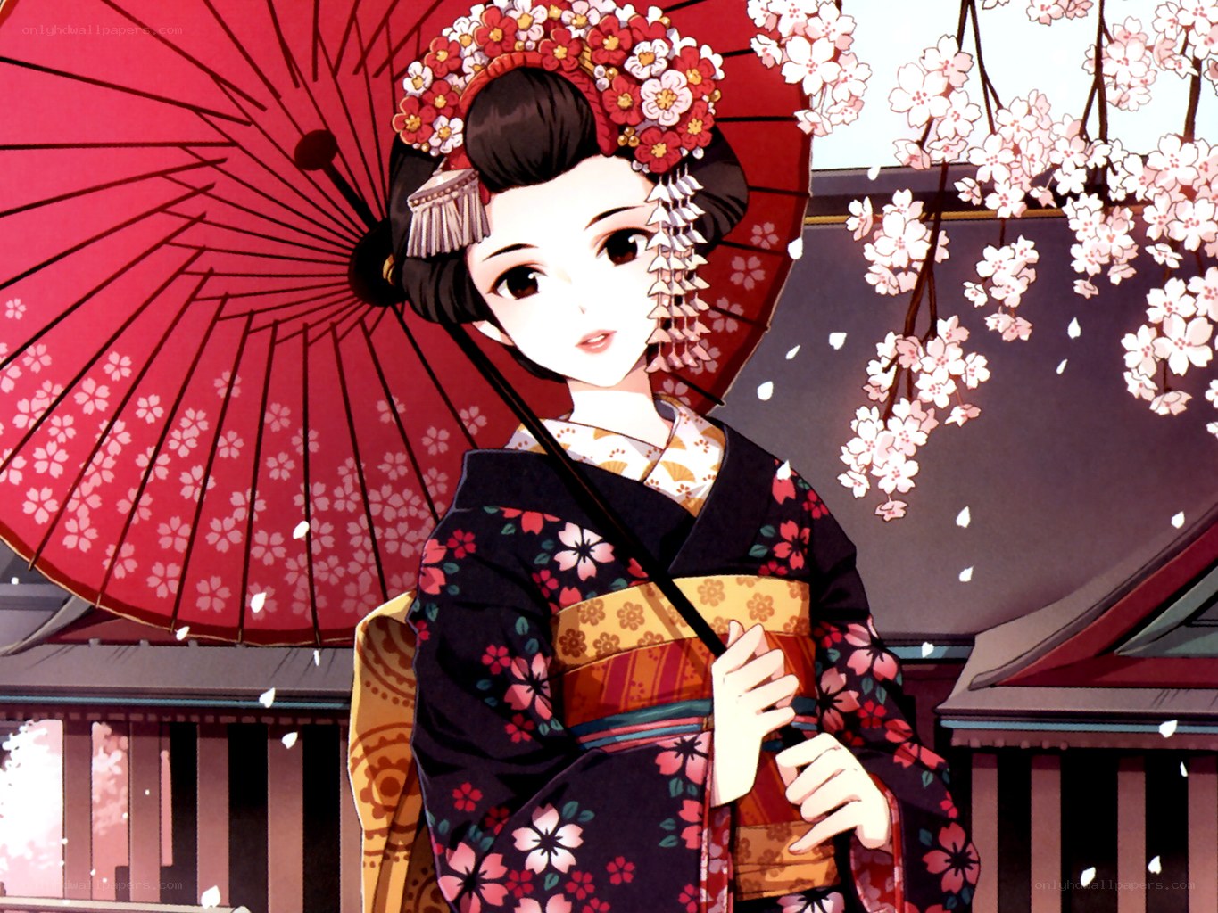 Geisha under cherry blossoms