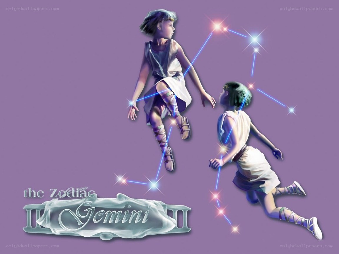 Gemini zodiac sign illustration
