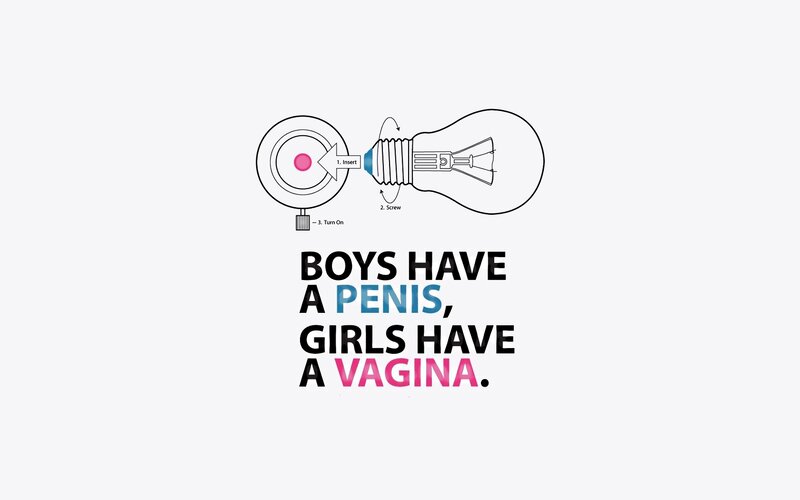 gender anatomy illustration