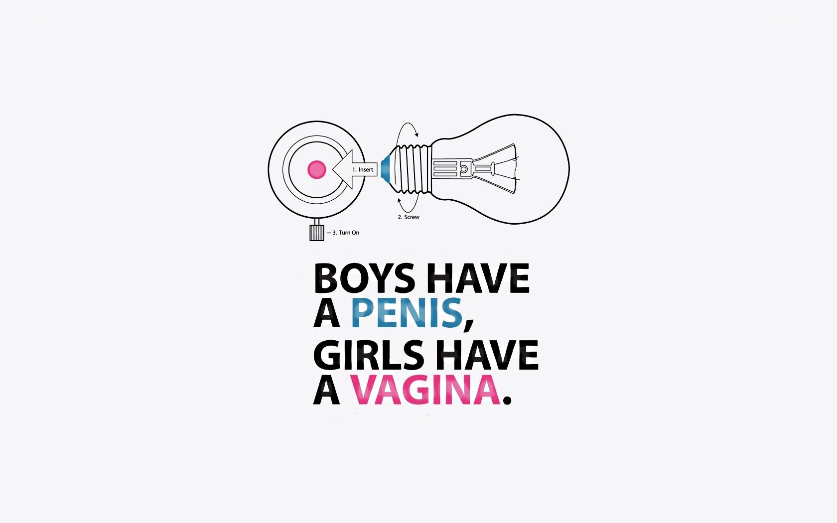 gender anatomy illustration