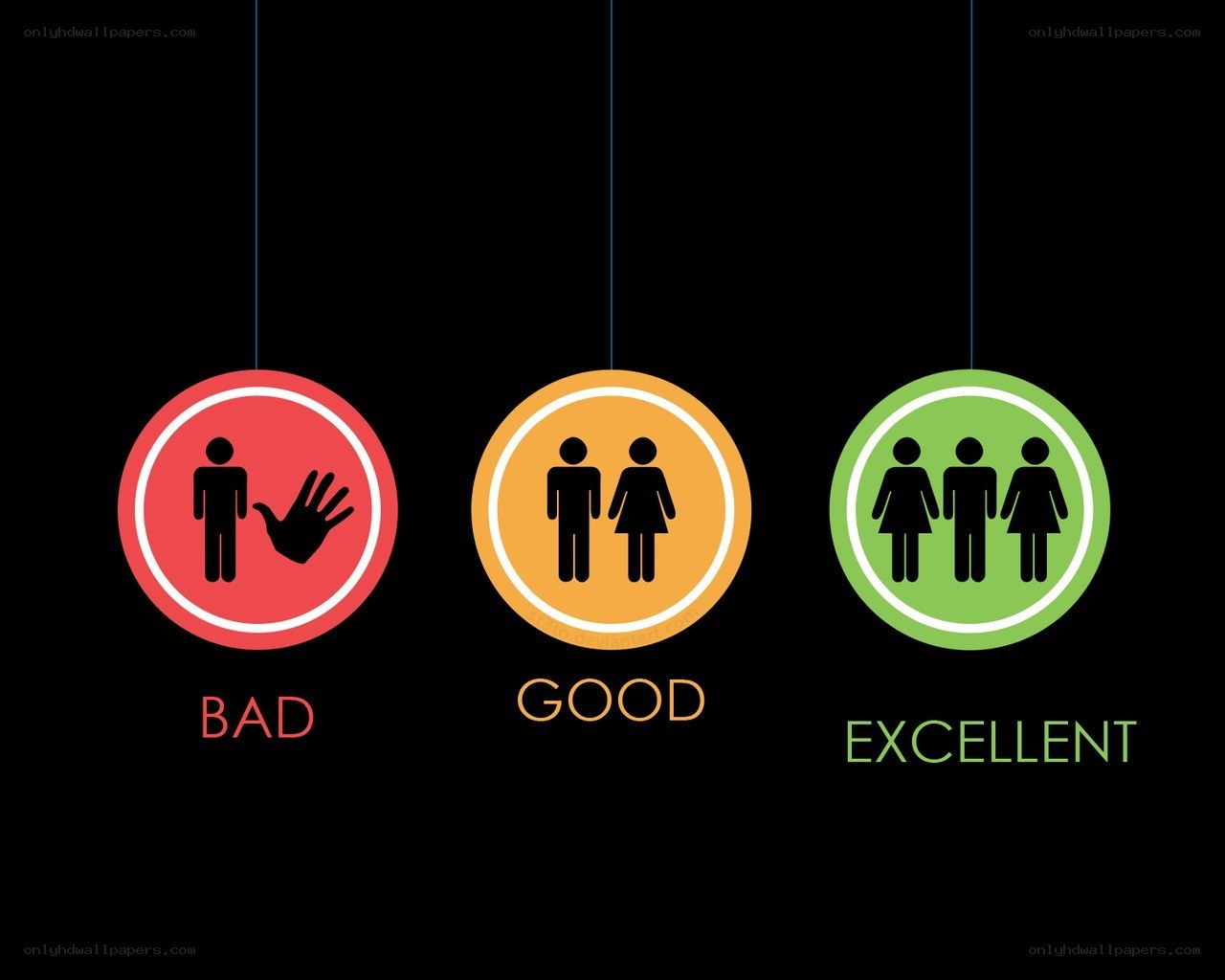gender diversity infographic