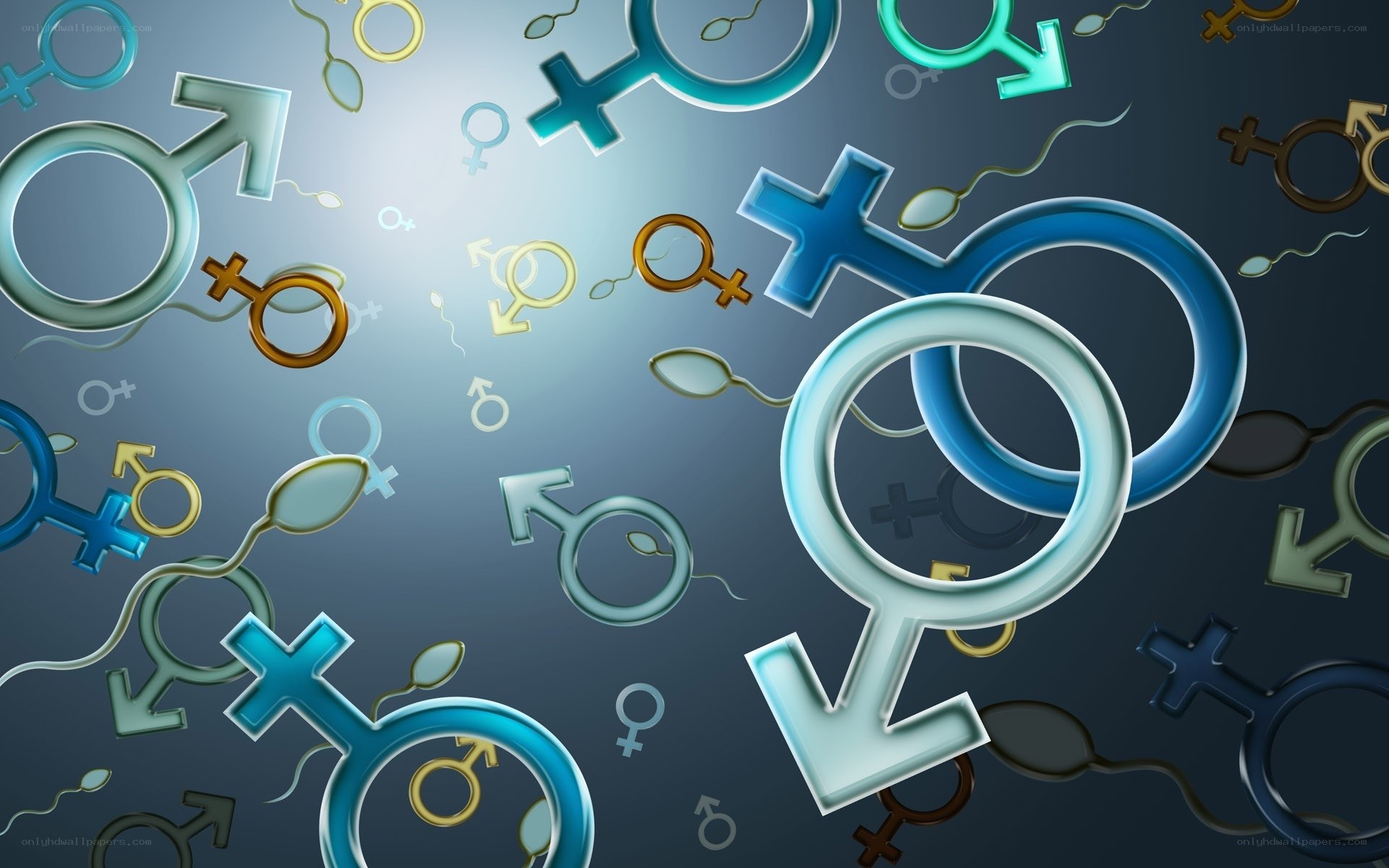 gender symbols and sperm cells