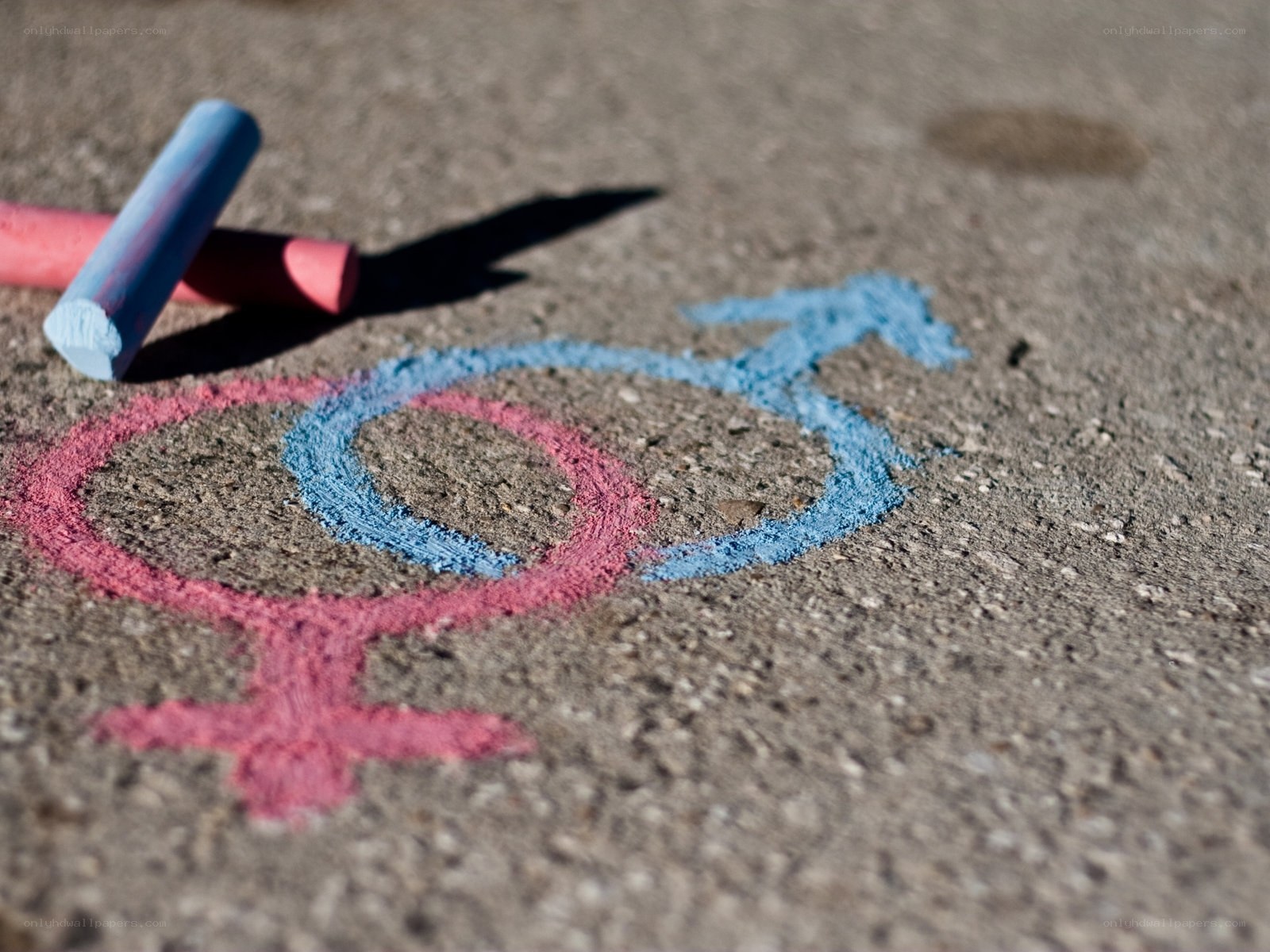 gender symbols drawn with chalk