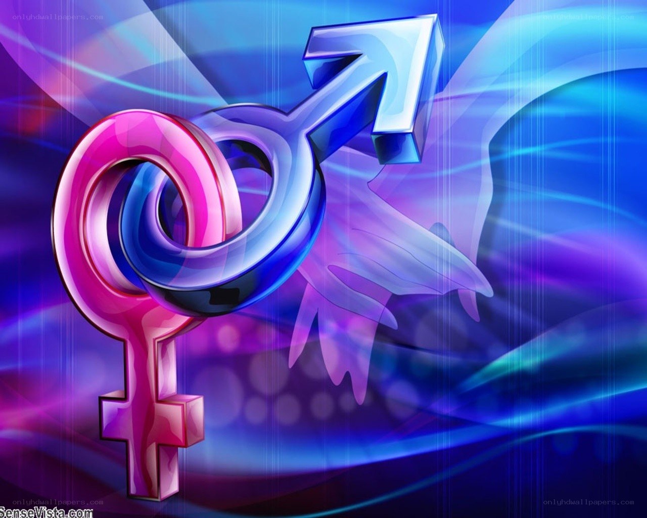 gender symbols in motion