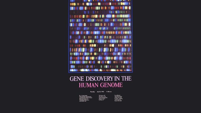 Gene Sequencing Gel