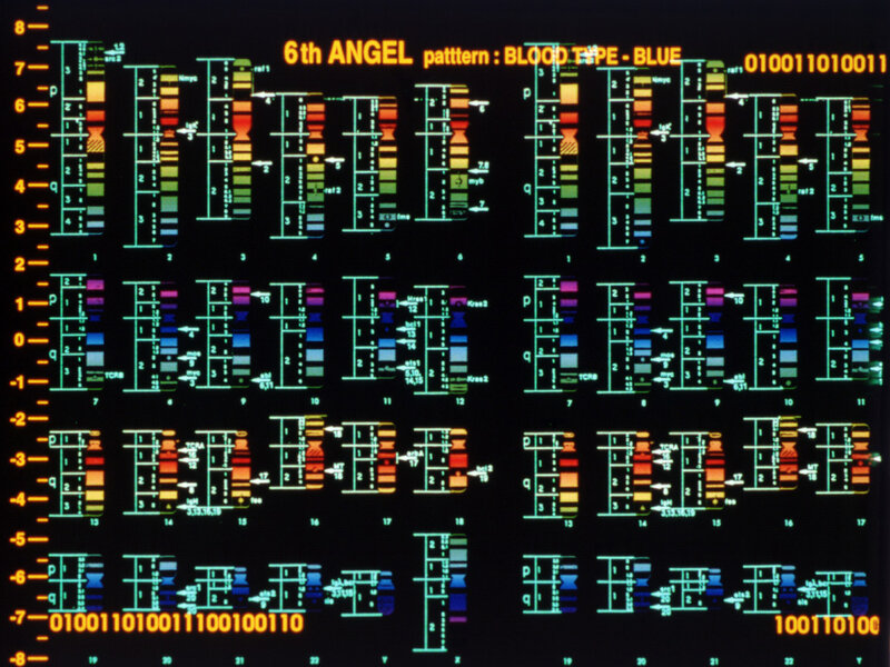 Genetic analysis display