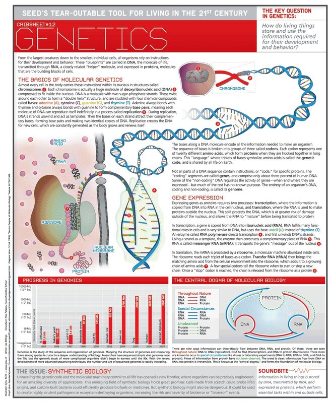 Genetics educational infographic