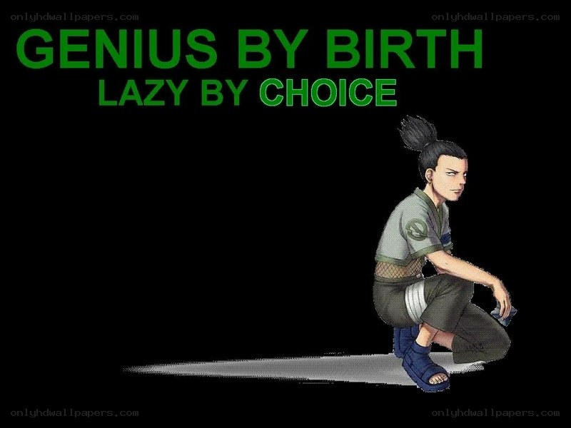 genius by birth lazy by choice