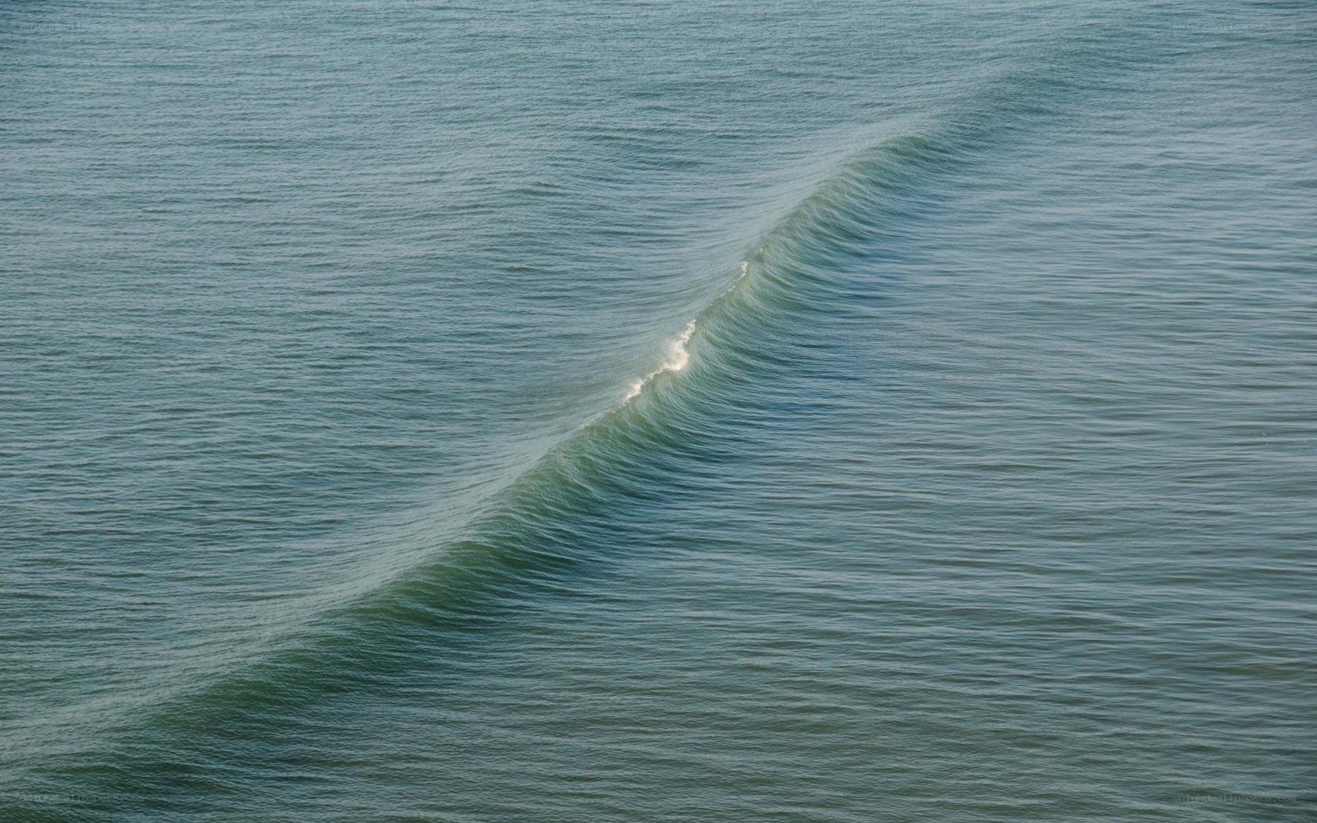 gentle ocean wave from above