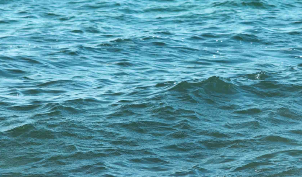 gentle ocean waves