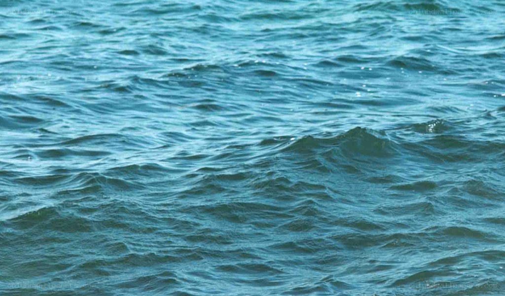 gentle ocean waves