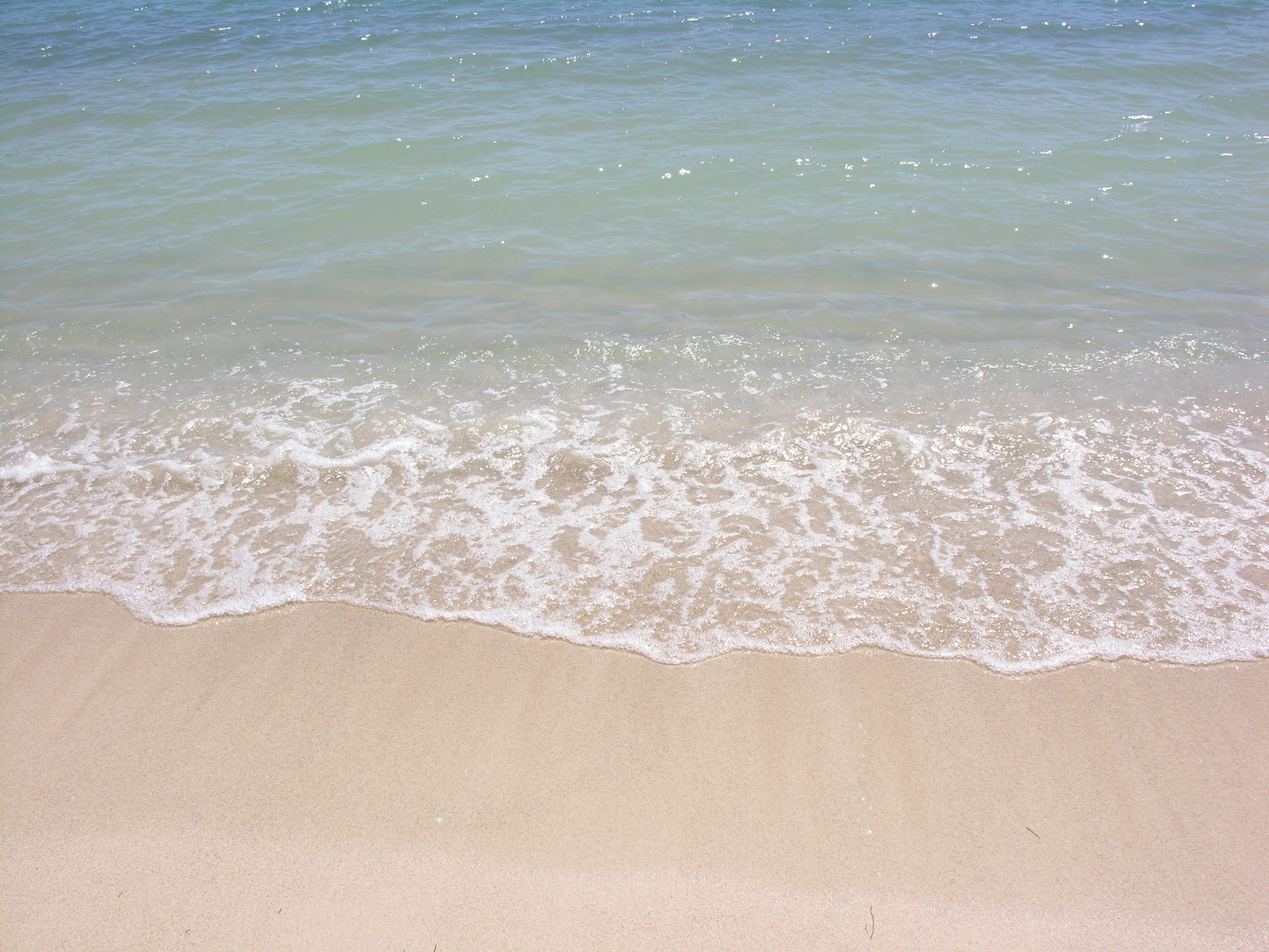 gentle waves on sandy beach