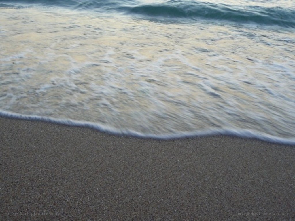 gentle waves on sandy beach