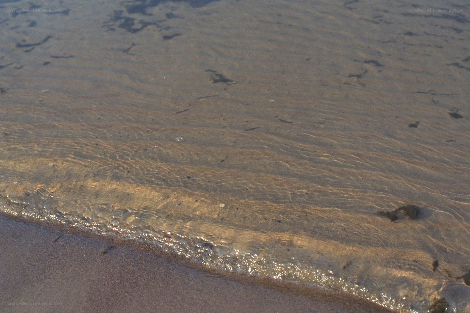 gentle waves on sandy shore