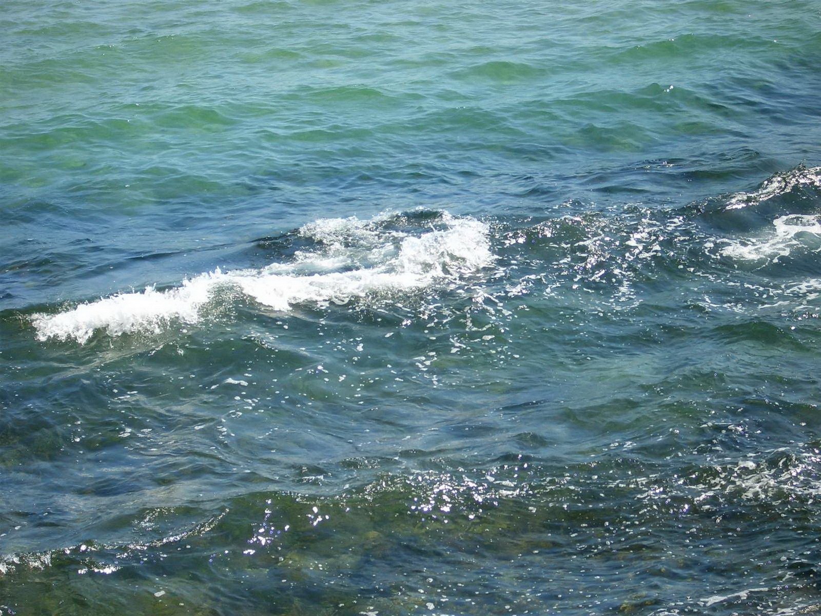 gentle waves on the water