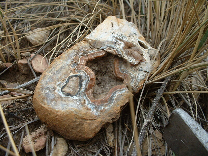 Geode in Dry Grass