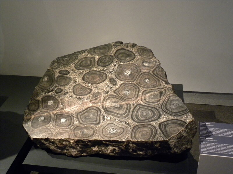 Geode Rock Specimen