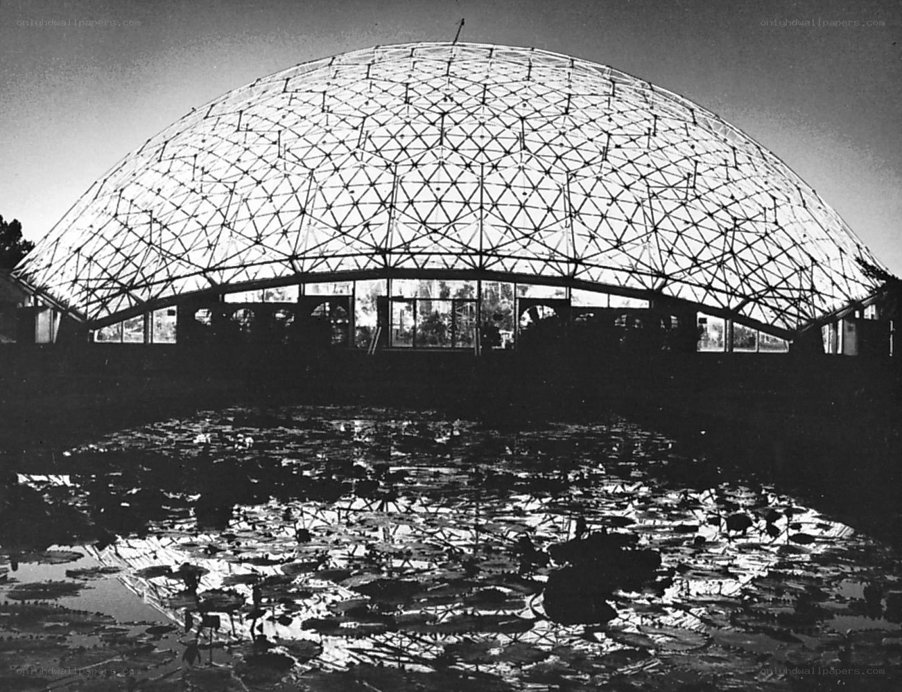 Geodesic dome greenhouse