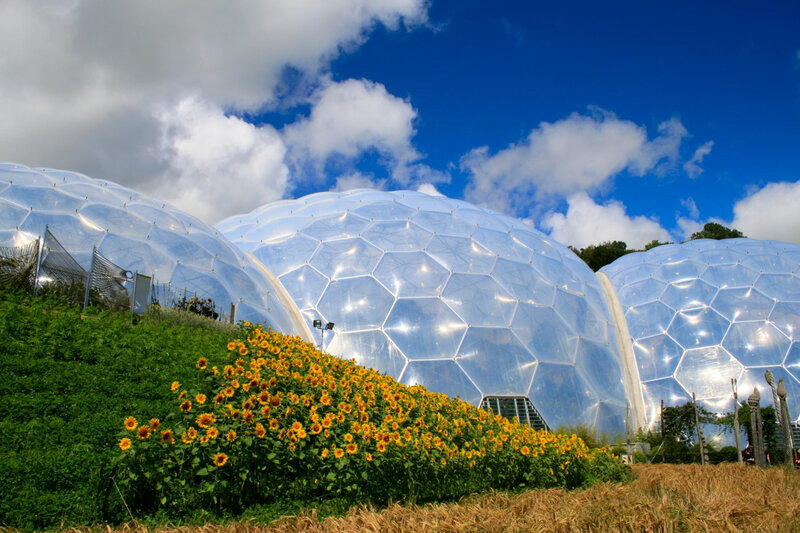 Geodesic Domes with Sunflowers