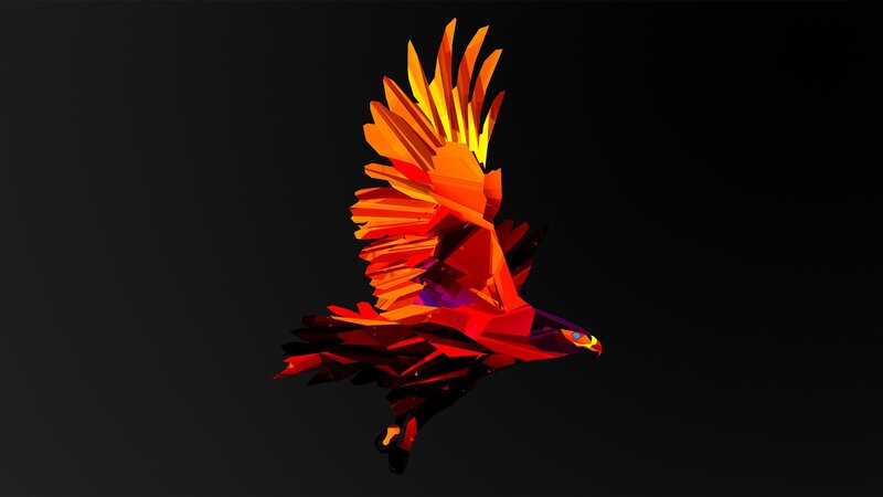 Geometric Bird in Flight